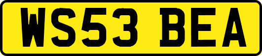 WS53BEA