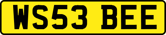 WS53BEE