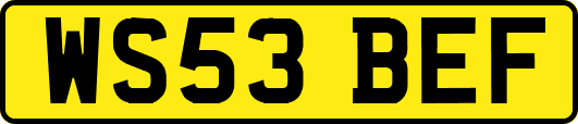 WS53BEF