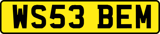 WS53BEM