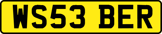 WS53BER