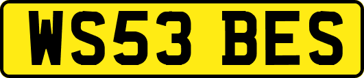 WS53BES