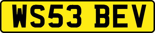 WS53BEV
