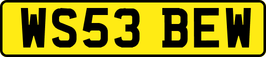 WS53BEW