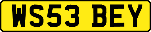 WS53BEY