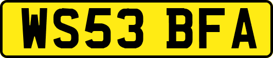 WS53BFA