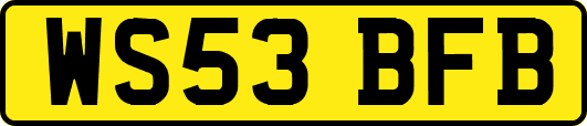 WS53BFB