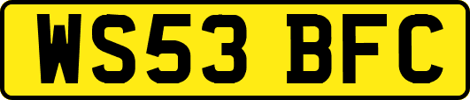 WS53BFC