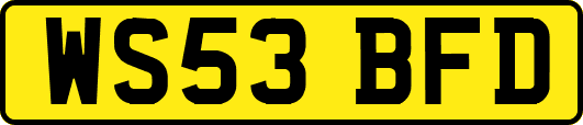 WS53BFD
