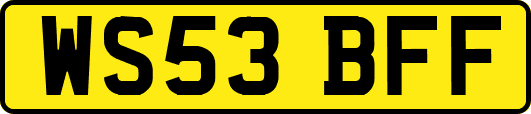 WS53BFF