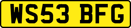 WS53BFG