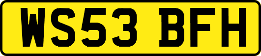 WS53BFH