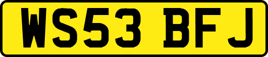 WS53BFJ