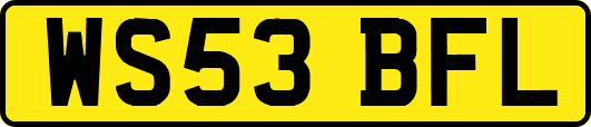 WS53BFL