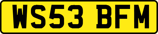 WS53BFM