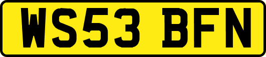 WS53BFN