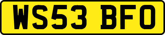 WS53BFO