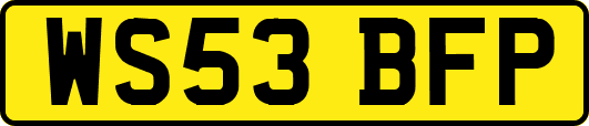 WS53BFP