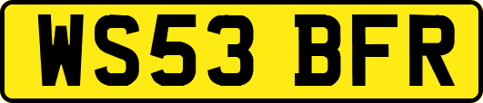 WS53BFR