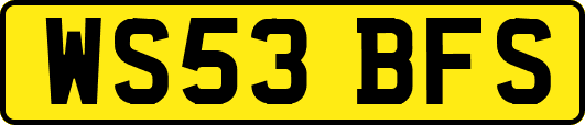 WS53BFS