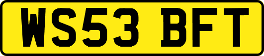 WS53BFT