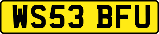WS53BFU