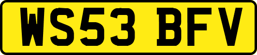 WS53BFV