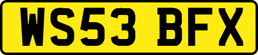 WS53BFX