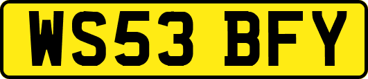 WS53BFY
