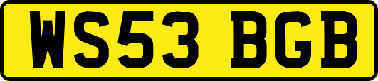 WS53BGB