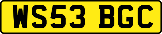 WS53BGC