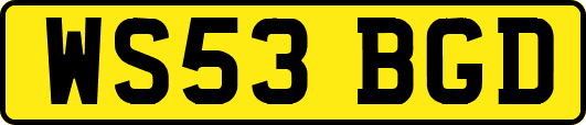 WS53BGD