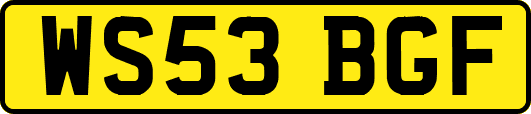 WS53BGF