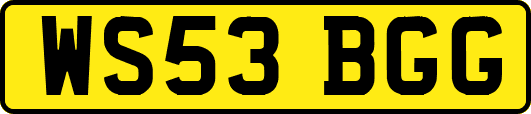 WS53BGG