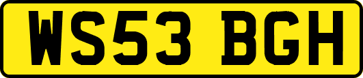 WS53BGH