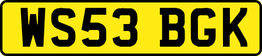 WS53BGK