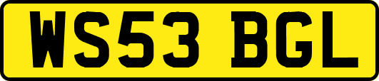 WS53BGL