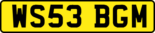 WS53BGM