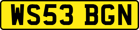 WS53BGN