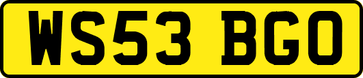 WS53BGO