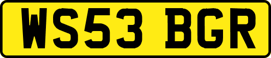 WS53BGR