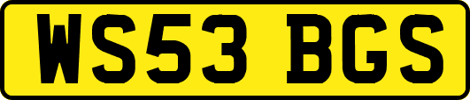 WS53BGS