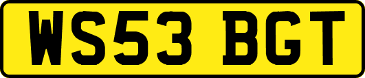WS53BGT