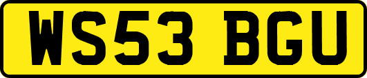 WS53BGU