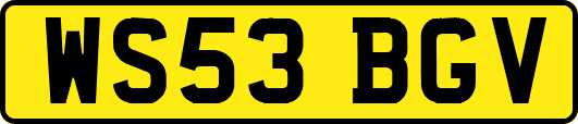 WS53BGV