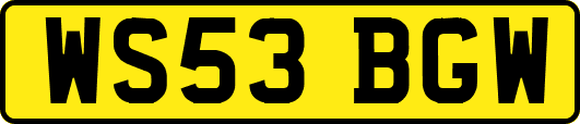 WS53BGW