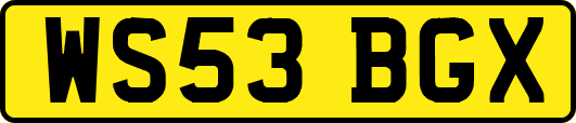 WS53BGX
