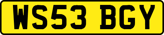 WS53BGY