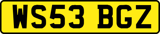 WS53BGZ