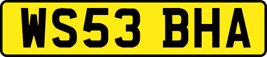 WS53BHA